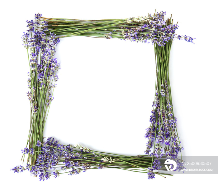 Frame made of beautiful lavender flowers on white background