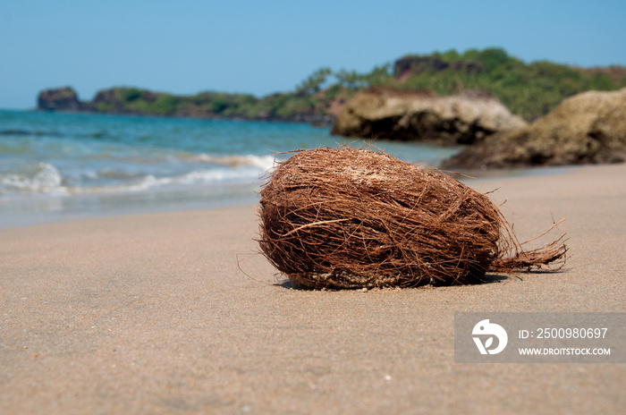 Fresh coconut on a sandy beach against the background of the sea. Sea Wave Beach Resort, Travel Vacation Luxury Freshness Maldives Thailand Indonesia