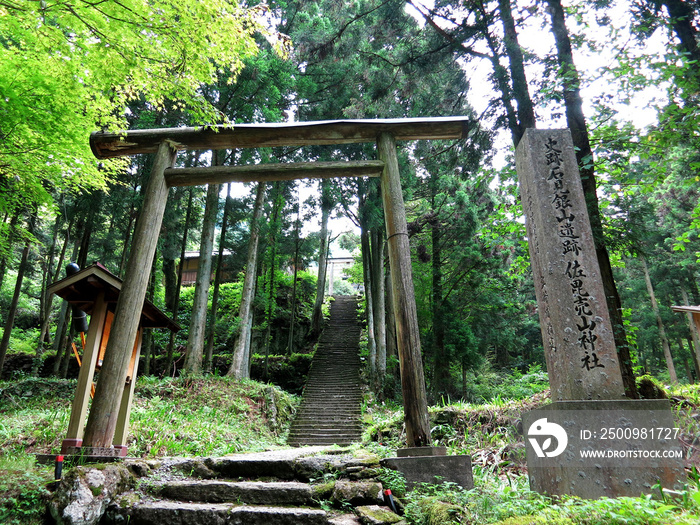The torii gate of Sahimeyama Shrine (石見銀山佐毘売山神社) inside the  Iwami Ginzan  Silver Mine and its Cultural Landscape Area in Oda City, Shimane Prefecture, JAPAN