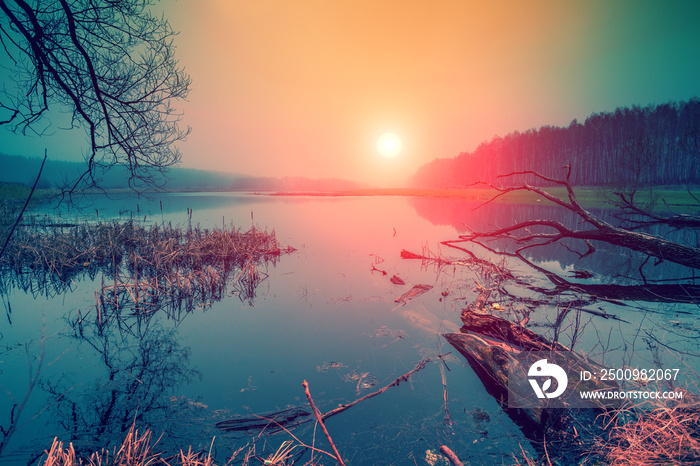 Wild nature. Autumn rural landscape. Wilderness, calm river at sunrise. Misty morning in countryside