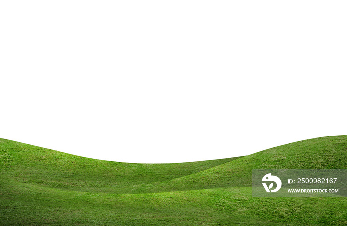 Green grass hill background isolated on white. Outdoor of green meadow background.