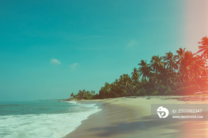 Tropical sandy ocean beach with palm trees vintage toned with film distress flare