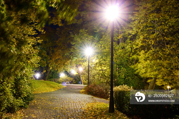 city park at night with blur trees