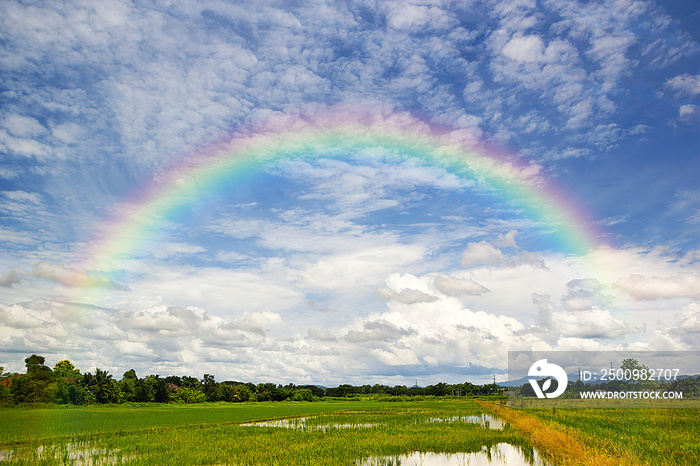 Beautiful Of Rainbow In Blue Sky Over Of Green Rice Field In The Mountain Background.