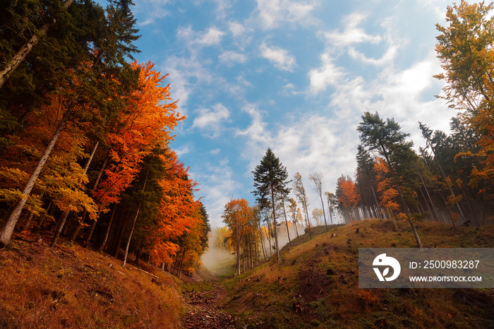 hills in the autumn colourful landscape of Slovak Malá Fatra