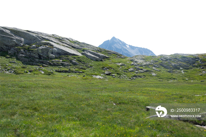 Isolated cutout mountains in the Alps in summer on a white background