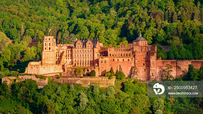 Schloss Heidelberg