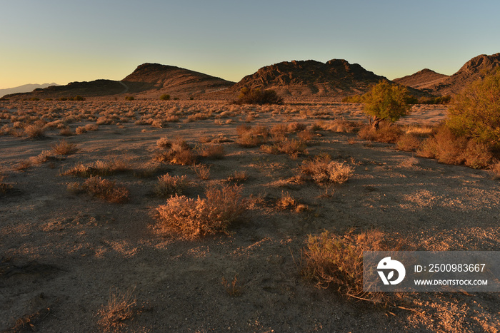 Mojave desert dawn landscape Pahrump Nevada