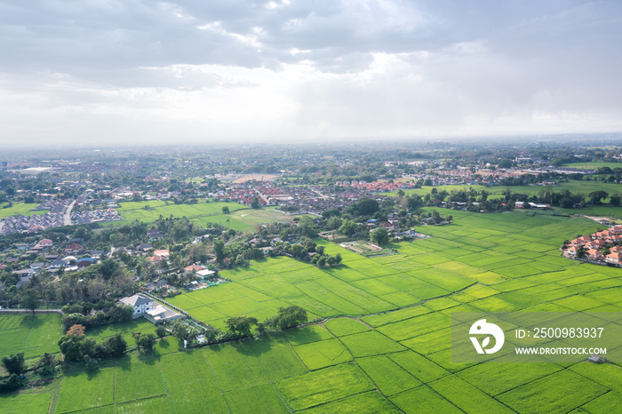 Land or landscape of green field in aerial view. Plot of land for agricultural farm, farmland or plantation with crop, rice. Also sale, investment. Rural area with nature at countryside in Chiang mai.