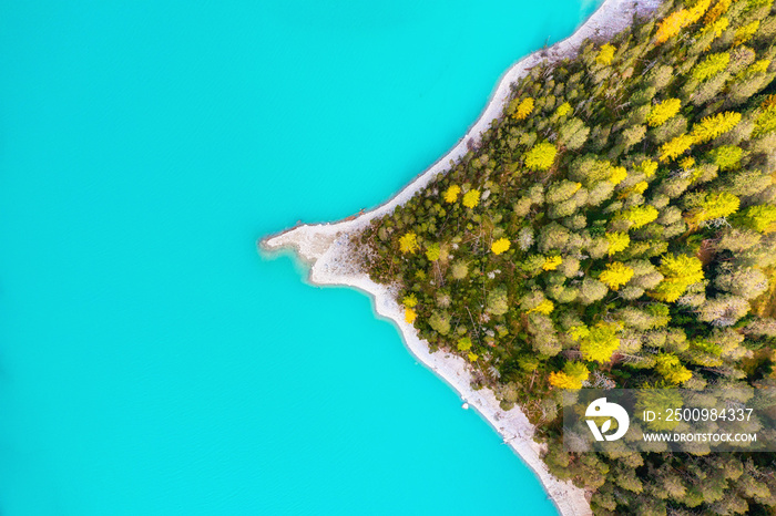 Natural landscape from air. Aerial view on the lake and forest at the autumn time. Forest and lake. Lai da Ova Spin, Zernez, Grisons, Switzerland.