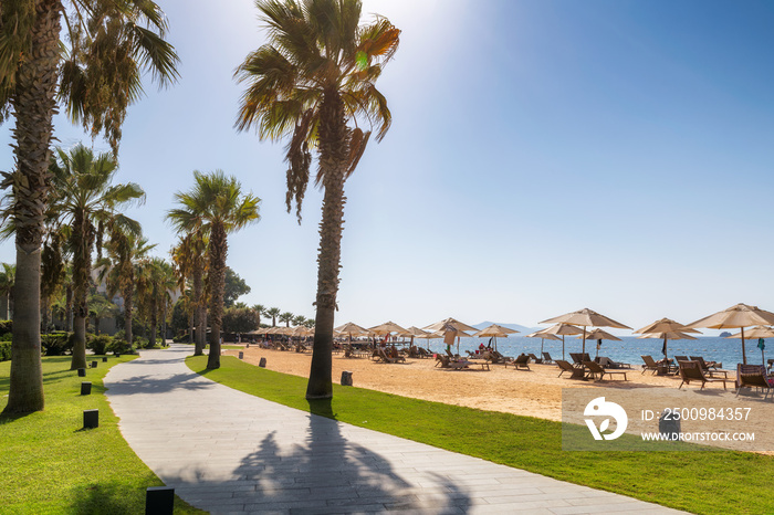 Palm trees in beautiful beach with sun umbrellas and Aegean sea in Turgutreis, Bodrum, Turkey