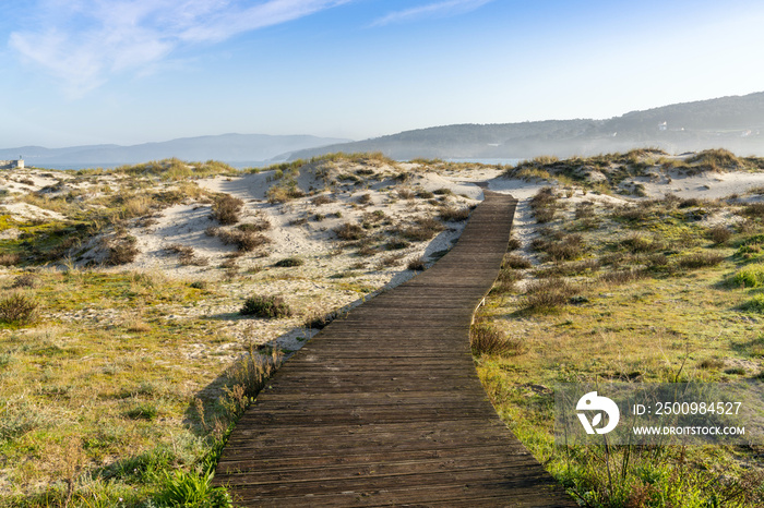 long wooden boardwalk leading through sand dunes and marsh grass to a beautiful beach