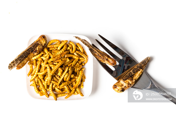 Edible fried insects suitable as food snack with fork white background