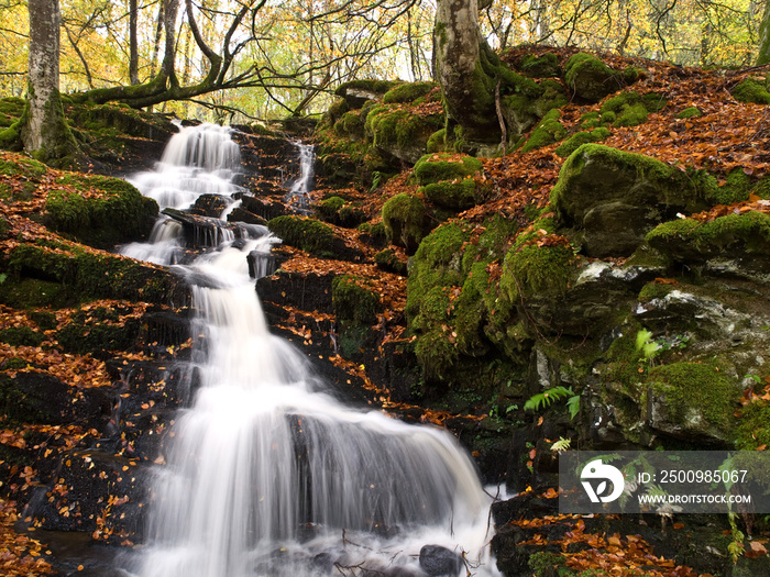 Birks of Aberfeldy