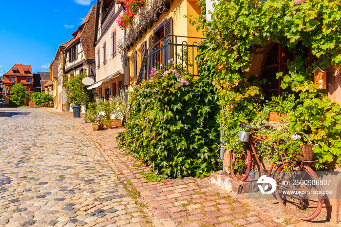 Old rusted bicycle parking in grapevines and beautiful facades of houses decorated with flowers on street of Bergheim village, Alsace wine route, France