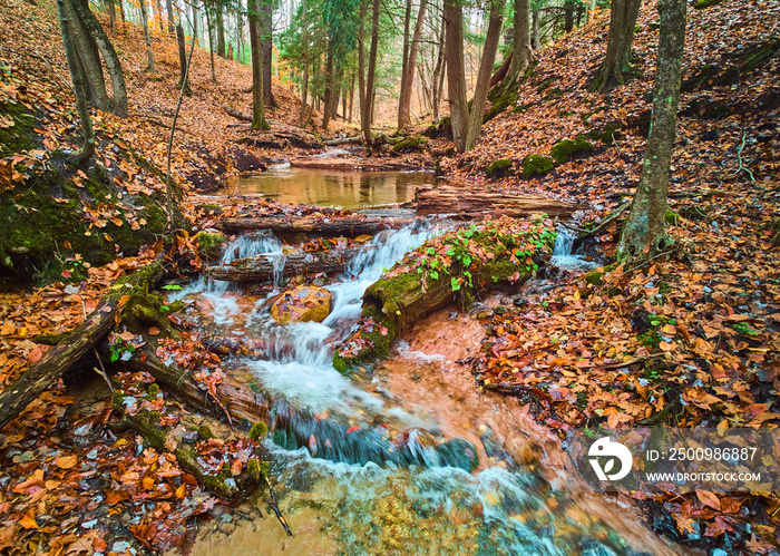 Small river creek with cascading waterfalls in beautiful fall forest covered in orange leaves