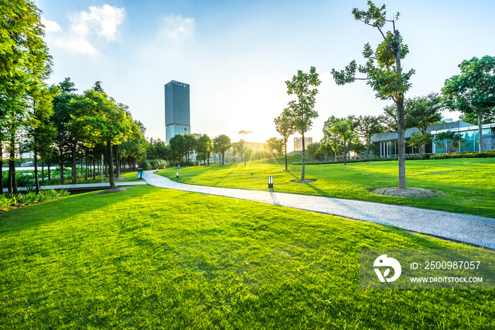 green lawn with city skyline