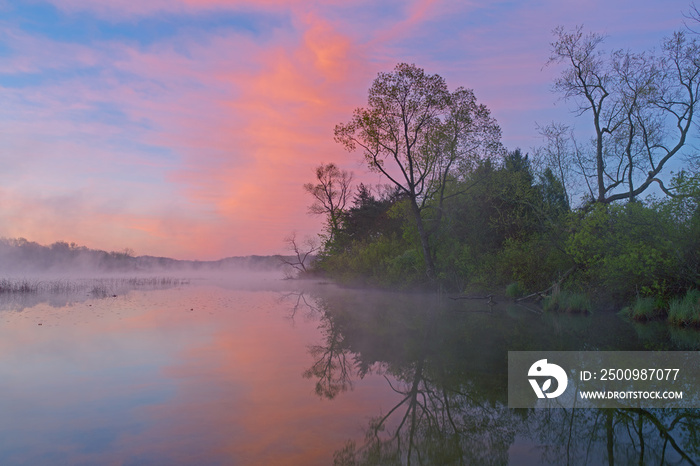 Landscape of the foggy, spring shoreline of Whitford Lake at dawn, Fort Custer State Park, Michigan, USA