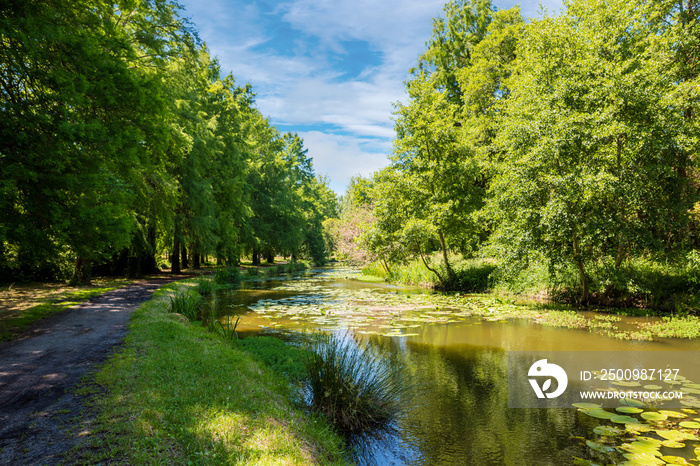 Magnifique paysage du lac de Soustons dans les Landes