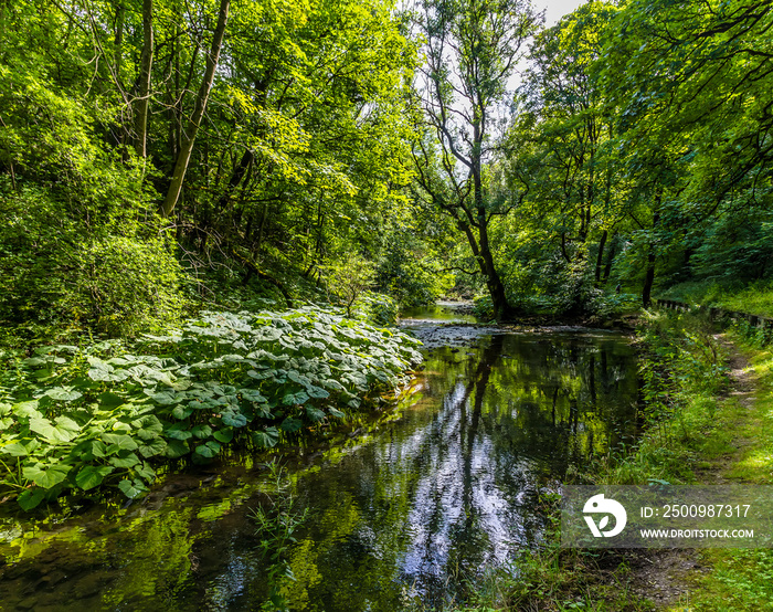 A view down the River Wye at the start of the Monsal Trail in Derbyshire, UK in summertime