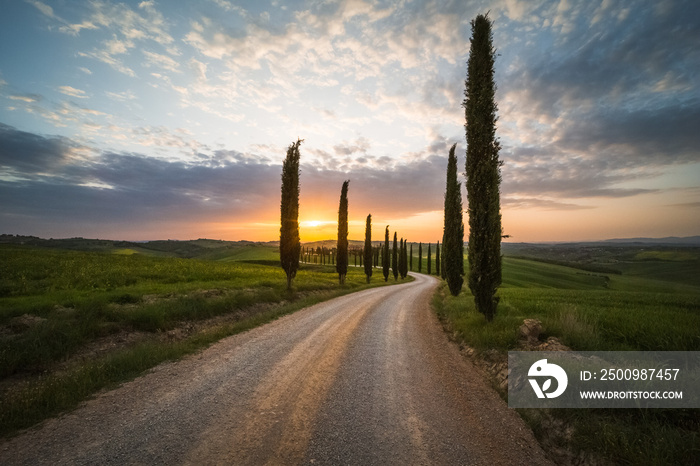 Tuscany landscape in spring green meadows of italia