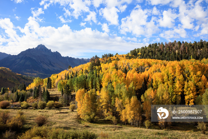 Autumn Beauty in Colorado - The Dallas Divide