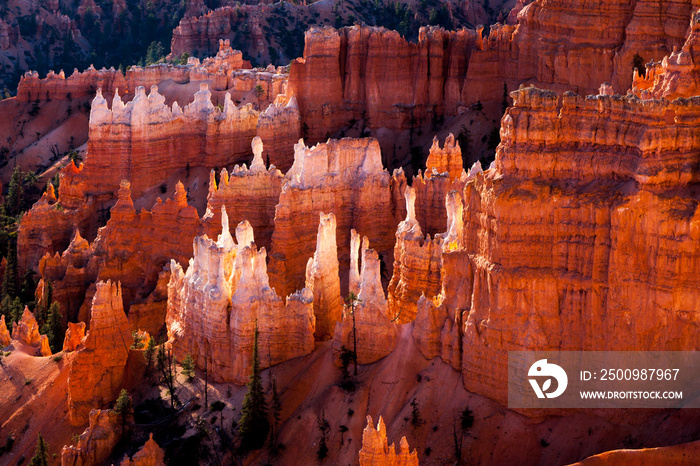 Scenic view of Bryce Canyon Southern Utah USA