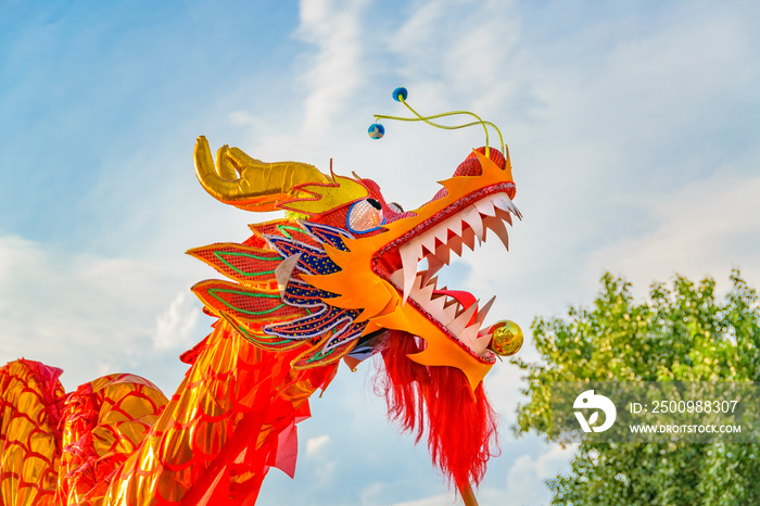 Dragon Dance, Chinese New Year, Montevideo, Uruguay