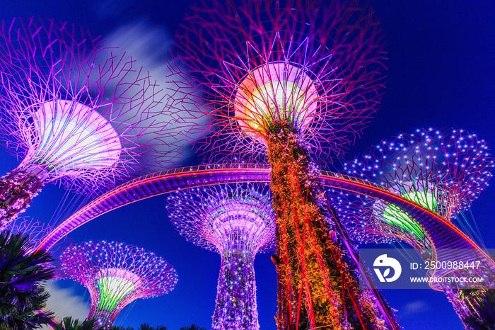 Singapore City, Singapore. Supertree Grove at the Gradens by the Bay.