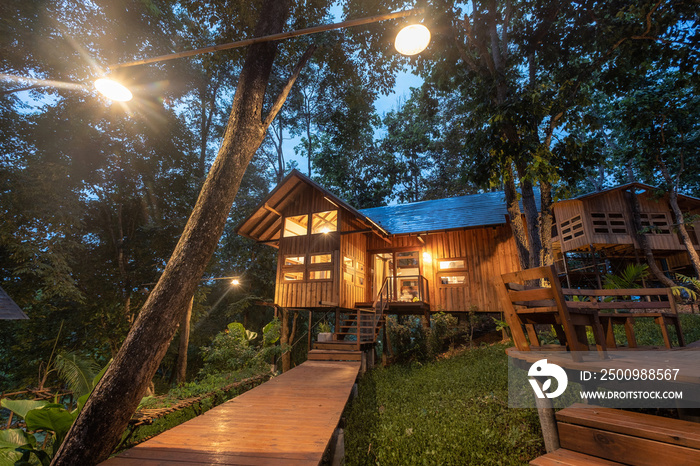 Architecture wooden house in rainforest