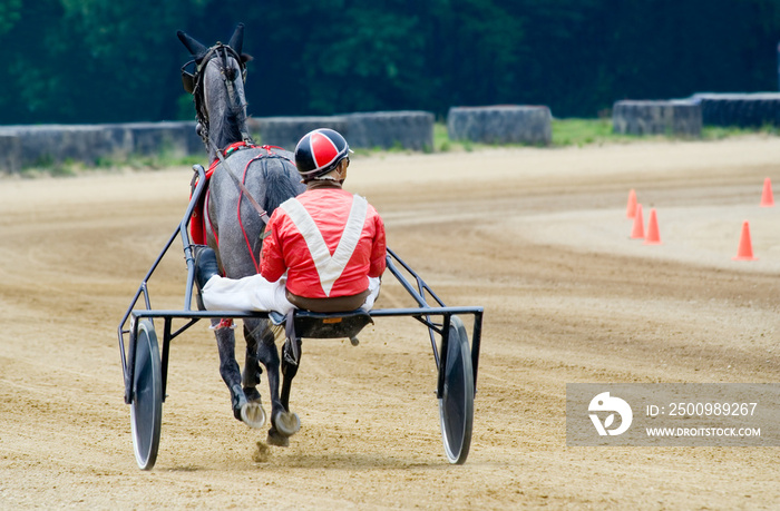 Harness Racer on the Track – A harness racer in his sulky on the track, preparing for a race.