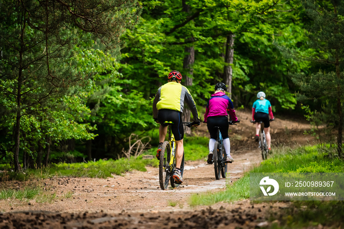Group of cyclists on the forest trail in spring