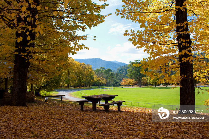 Lovely autumnal picnic area overlooking local sports ground in the popular alpine town of Bright in north east Victoria, Australia.