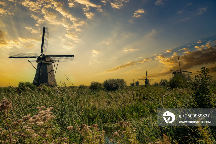 Windmolens Kinderdijk, Zuid-Holland