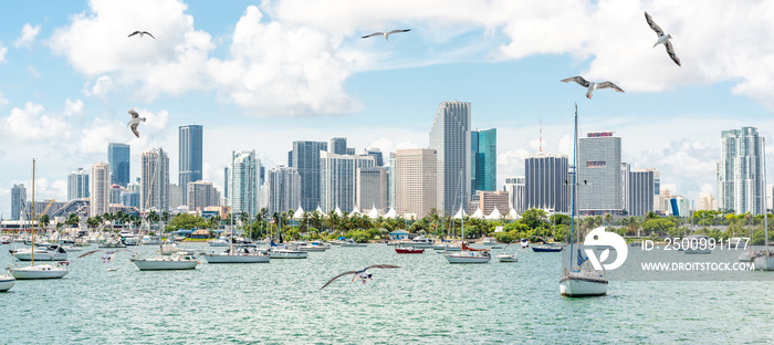 Miami skyline with yachts, boats, seagulls and skyscrapers