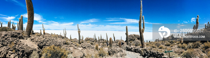 Isla Incahuasi, Inkawasi or Inka Wasi in Bolivia