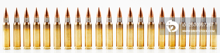 Hunting cartridges of caliber. 308 Win