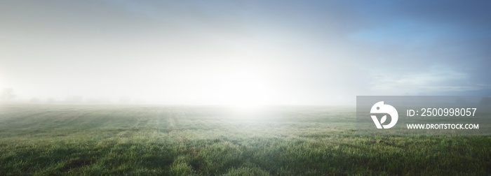 Clear blue sky above the green forest meadow (field) at sunset. Twilight, moonrise, fog. Idyllic summer landscape. Rural scene. Pure nature. Picturesque panoramic scenery. Silence, wanderlust concepts