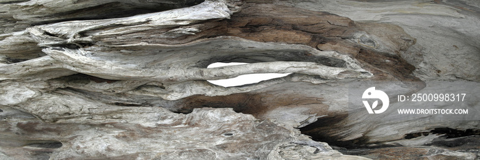 Driftwood texture