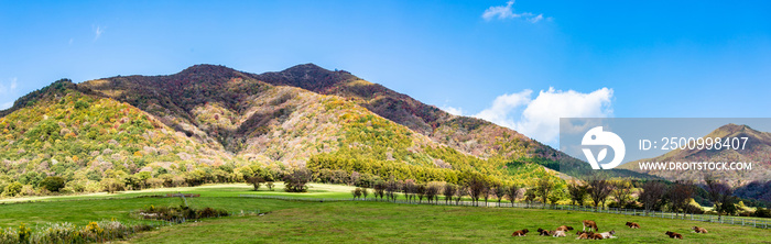 蒜山高原　秋の風景　 パノラマ