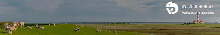 Panorama at the Westerhever lighthouse on the North Sea, with dike and sheep