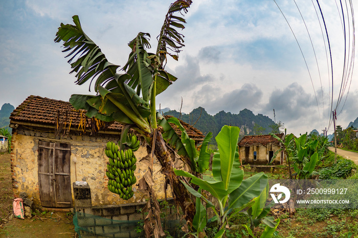 Old farm in highlands of vietnam