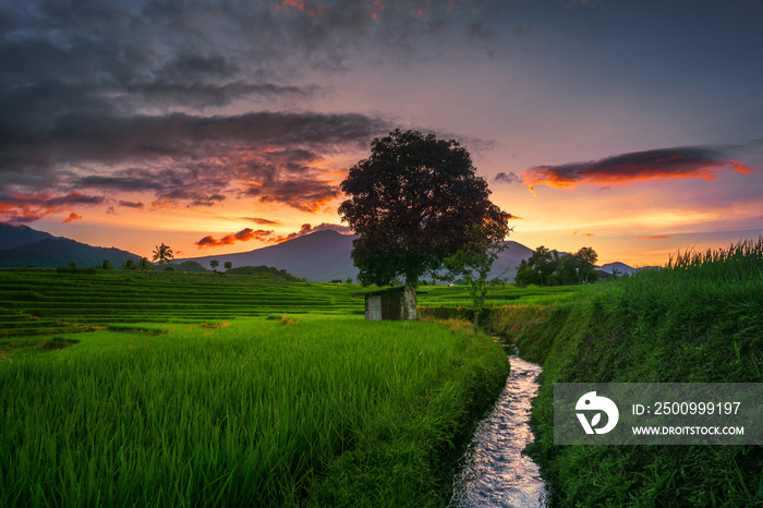 Indonesia Nature panorama of green rice fields and flowing water in the mountains of rural area of Indonesia with sunrise