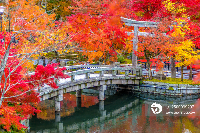 autumn foliage at Eikando Temple in Kyoto, Japan