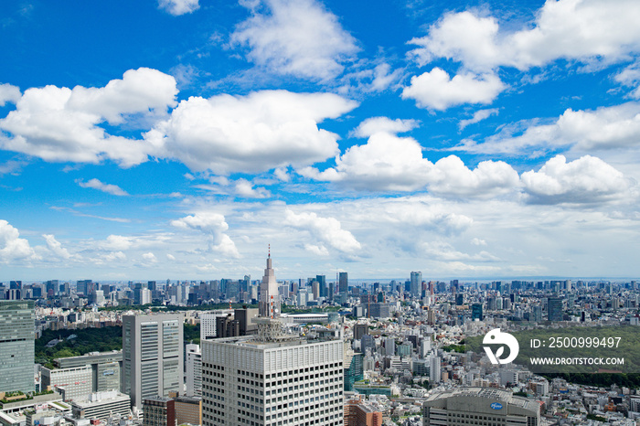 東京・新宿・渋谷