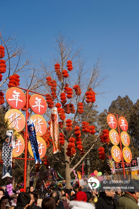 2008年北京地坛春节庙会