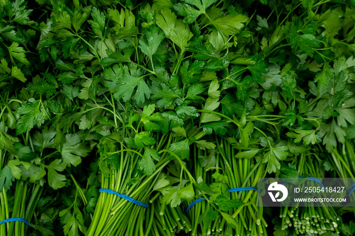 Natka pietruszki, pęczki natki pietruszki, parsley, bunches of parsley