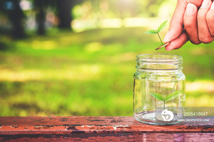 business hand put green plant growing coin saving concept.