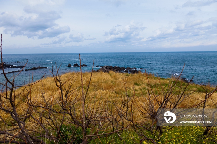 韩国济州岛海边