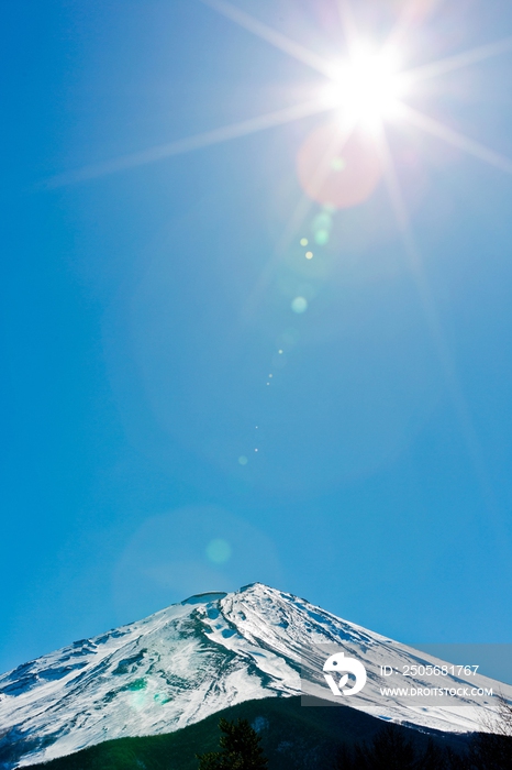 富士山